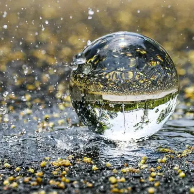 La Bola de Cristal o Bola Mágica - Significado
